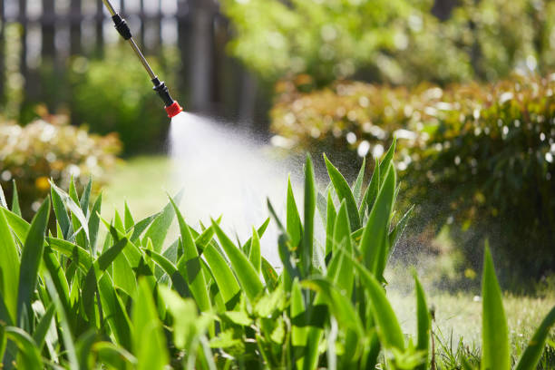24/7 Emergency Ant Control experts in Spearville, KS